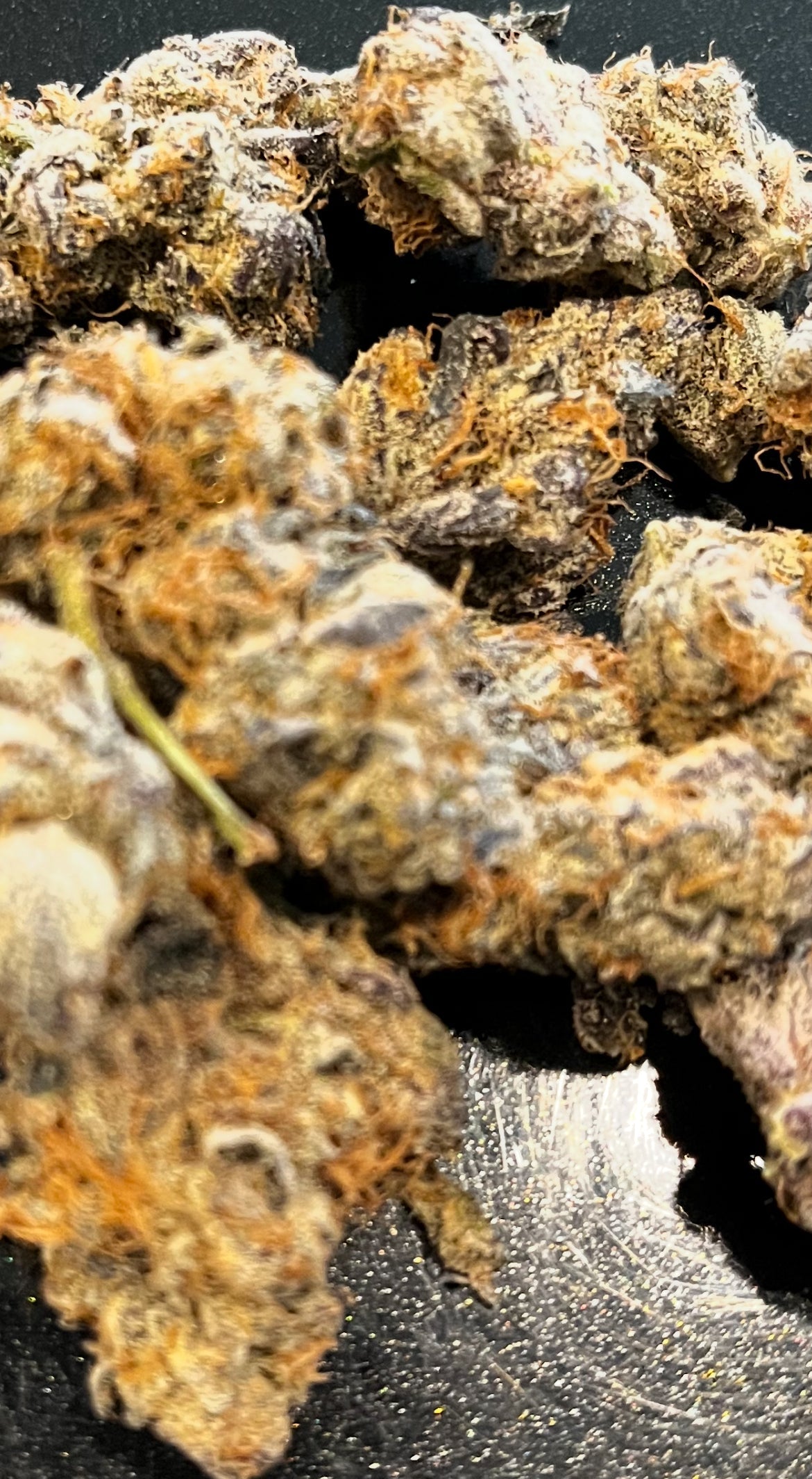 TXMMD Gold Label THCA Premium Flower
